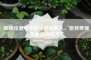 陈晓佳是中信建设的掌舵人，他将带领企业驶向何方？