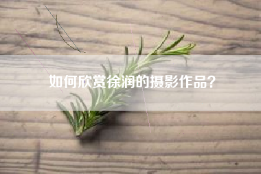 如何欣赏徐润的摄影作品？
