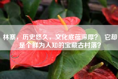 林寨，历史悠久，文化底蕴深厚？  它却是个鲜为人知的宝藏古村落？