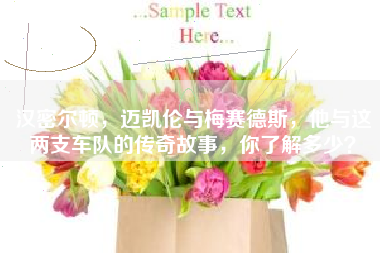 汉密尔顿，迈凯伦与梅赛德斯，他与这两支车队的传奇故事，你了解多少？