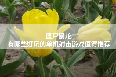 僵尸暴龙,
有哪些好玩的单机射击游戏值得推荐