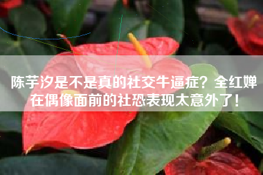 陈芋汐是不是真的社交牛逼症？全红婵在偶像面前的社恐表现太意外了！