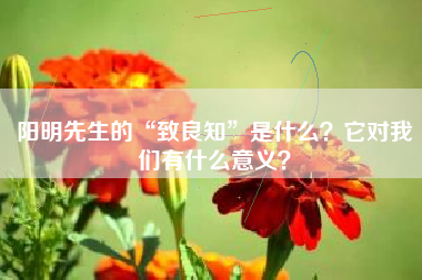 阳明先生的“致良知”是什么？它对我们有什么意义？