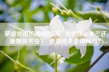 萨波纳拉的巅峰时刻，是他在AC米兰还是斯佩齐亚？  他最终会走向何方？