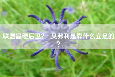 联盟最硬后卫？  贝弗利是靠什么立足的？
