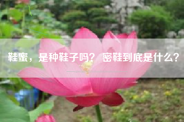 鞋蜜，是种鞋子吗？ 密鞋到底是什么？