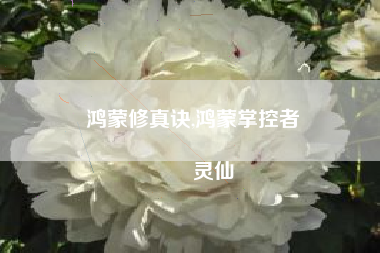 鸿蒙修真诀,鸿蒙掌控者
灵仙 鸿蒙修真诀,鸿蒙掌控者
灵仙