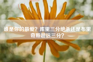 谁是你的最爱？库里三分绝杀还是布里奇斯超远三分？