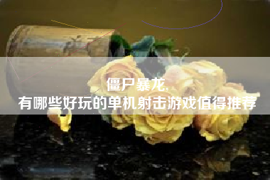 僵尸暴龙,
有哪些好玩的单机射击游戏值得推荐