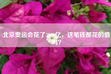 北京奥运会花了3000亿，这笔钱都花的值吗？
