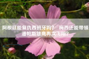 阿根廷能复仇西班牙吗？  梅西还能带领潘帕斯雄鹰再次飞翔？