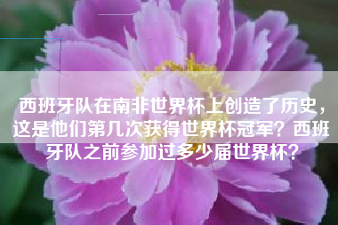 西班牙队在南非世界杯上创造了历史，这是他们第几次获得世界杯冠军？西班牙队之前参加过多少届世界杯？