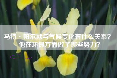 马特·帕尔默与气候变化有什么关系？ 他在环保方面做了哪些努力？