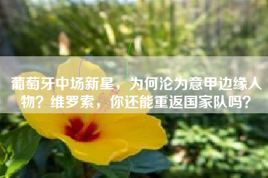 葡萄牙中场新星，为何沦为意甲边缘人物？维罗索，你还能重返国家队吗？