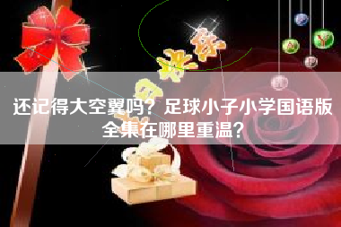 还记得大空翼吗？足球小子小学国语版全集在哪里重温？