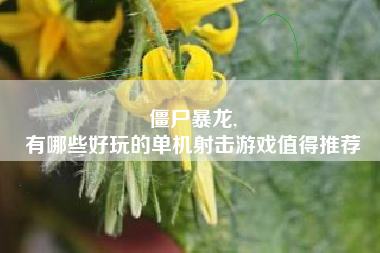 僵尸暴龙,
有哪些好玩的单机射击游戏值得推荐