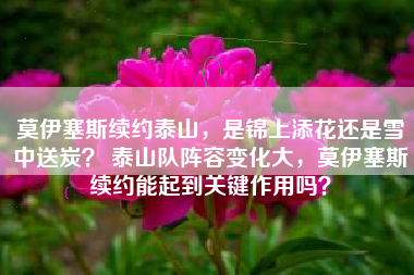 莫伊塞斯续约泰山，是锦上添花还是雪中送炭？ 泰山队阵容变化大，莫伊塞斯续约能起到关键作用吗？