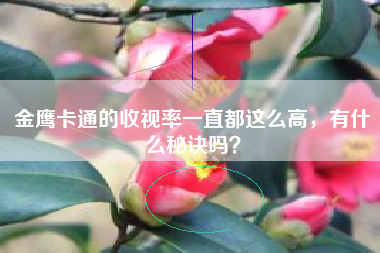 金鹰卡通的收视率一直都这么高，有什么秘诀吗？