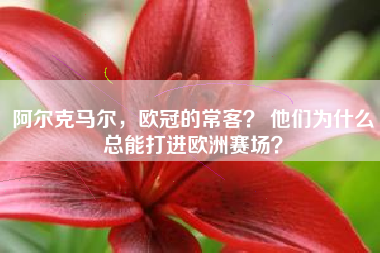 阿尔克马尔，欧冠的常客？ 他们为什么总能打进欧洲赛场？