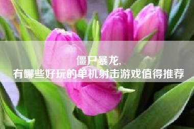 僵尸暴龙,
有哪些好玩的单机射击游戏值得推荐