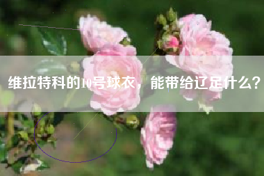 维拉特科的10号球衣，能带给辽足什么？