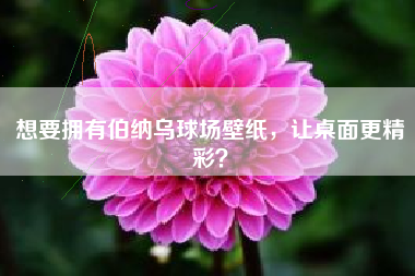 想要拥有伯纳乌球场壁纸，让桌面更精彩？