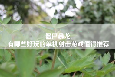 僵尸暴龙,
有哪些好玩的单机射击游戏值得推荐