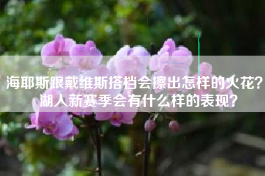 海耶斯跟戴维斯搭档会擦出怎样的火花？  湖人新赛季会有什么样的表现？