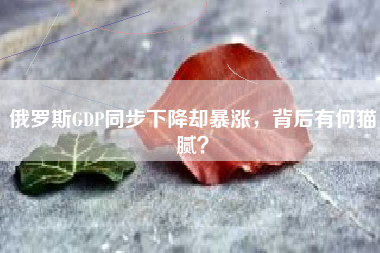俄罗斯GDP同步下降却暴涨，背后有何猫腻？