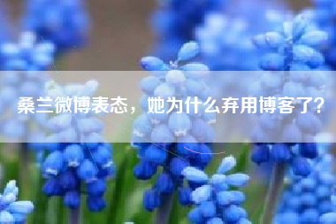 桑兰微博表态，她为什么弃用博客了？