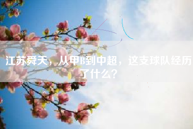 江苏舜天，从甲B到中超，这支球队经历了什么？