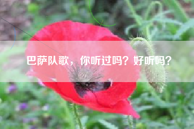 巴萨队歌，你听过吗？好听吗？