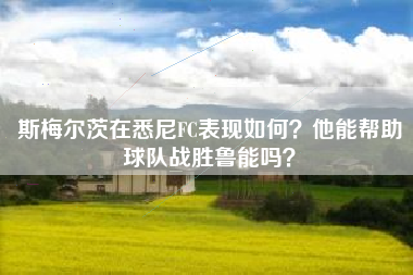 斯梅尔茨在悉尼FC表现如何?他能帮助球队战胜鲁能吗?