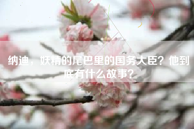 纳迪，妖精的尾巴里的国务大臣？他到底有什么故事？