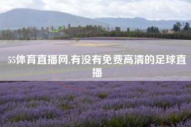 55体育直播网,有没有免费高清的足球直播