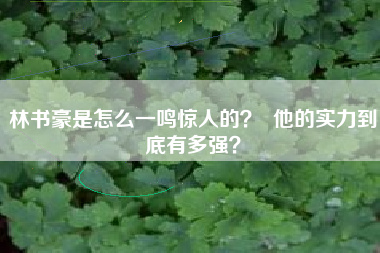 林书豪是怎么一鸣惊人的？  他的实力到底有多强？