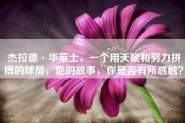 杰拉德·华莱士，一个用天赋和努力拼搏的球员，他的故事，你是否有所感触？