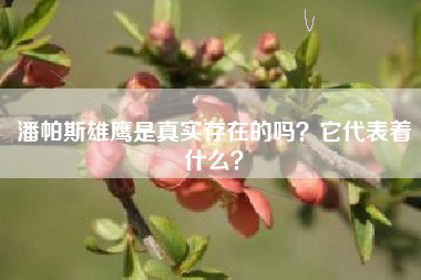 潘帕斯雄鹰是真实存在的吗？它代表着什么？