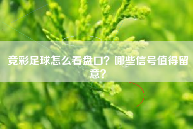 竞彩足球怎么看盘口？哪些信号值得留意？
