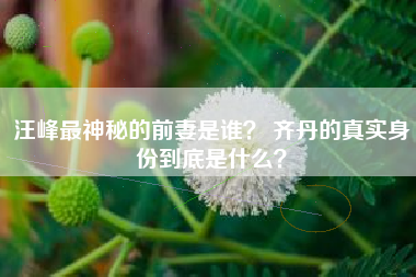 汪峰最神秘的前妻是谁？ 齐丹的真实身份到底是什么？