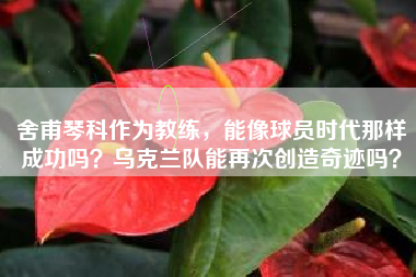 舍甫琴科作为教练，能像球员时代那样成功吗？乌克兰队能再次创造奇迹吗？