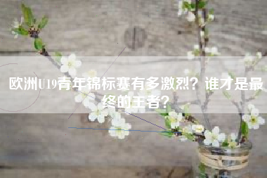 欧洲U19青年锦标赛有多激烈？谁才是最终的王者？