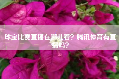 球宝比赛直播在哪儿看？腾讯体育有直播吗？