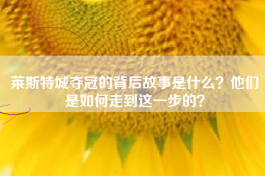 莱斯特城夺冠的背后故事是什么？他们是如何走到这一步的？
