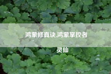 鸿蒙修真诀,鸿蒙掌控者
灵仙 鸿蒙修真诀,鸿蒙掌控者
灵仙