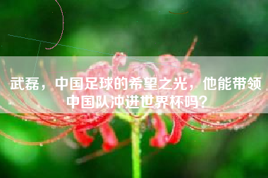武磊，中国足球的希望之光，他能带领中国队冲进世界杯吗？