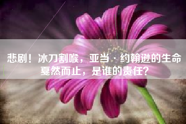 悲剧！冰刀割喉，亚当·约翰逊的生命戛然而止，是谁的责任？