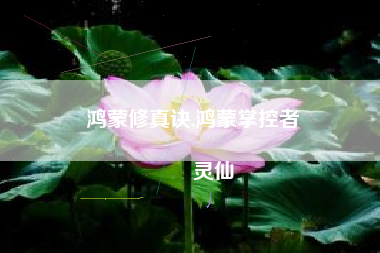 鸿蒙修真诀,鸿蒙掌控者
灵仙 鸿蒙修真诀,鸿蒙掌控者
灵仙