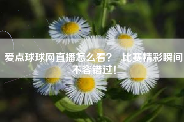 爱点球球网直播怎么看？  比赛精彩瞬间不容错过！
