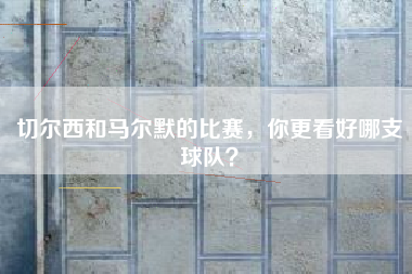切尔西和马尔默的比赛，你更看好哪支球队？
